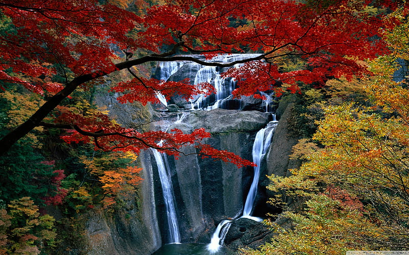 Autumn - Maple - Waterfall-World most famous waterfall landscape, HD wallpaper