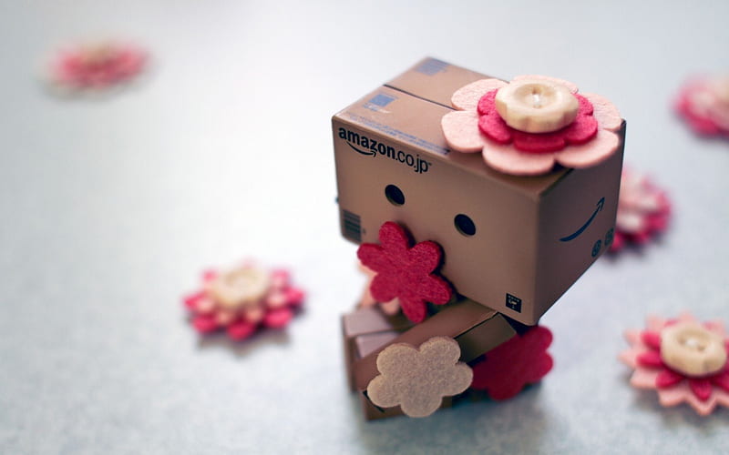 Danbo, cute, flower, flowers, box, robot, pink, HD wallpaper
