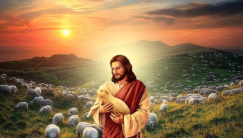 Collage, christ, sheep, jesus, shepherd, nature, HD wallpaper | Peakpx