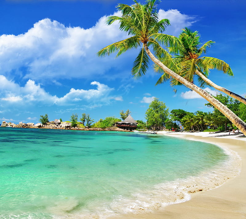 Tropical Beach, beach, lagoon, palms, sea, summer, tropical, HD ...