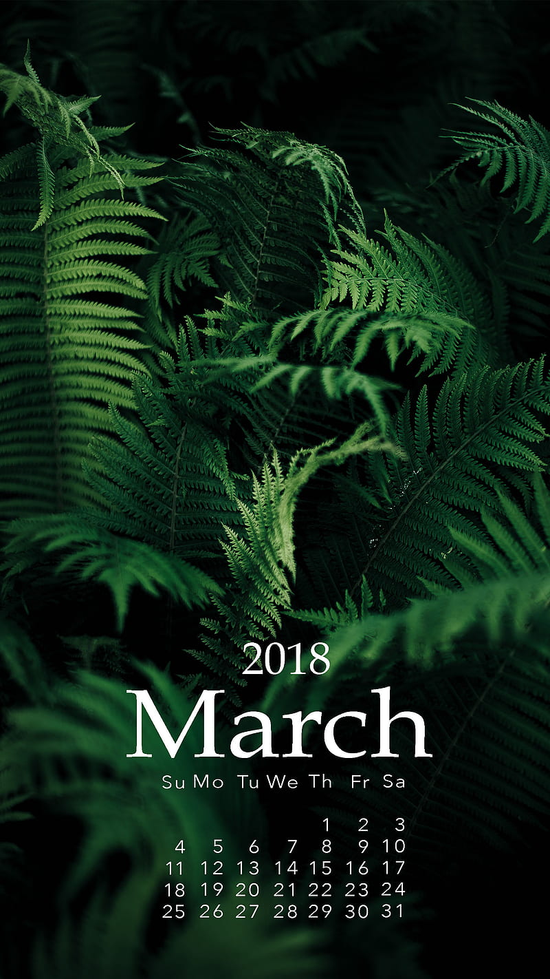 March Plants, cal, calendars, sea, productivity, HD phone wallpaper