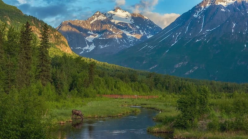 Chugach Mountains, Eagle River, Alaska, river, usa, clouds, trees, landscape, rocks, sky, HD wallpaper
