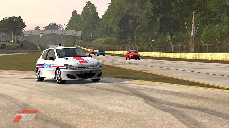 French Police, french, forza, trap, forza 3, racers, radar, speed, cop, police, HD wallpaper