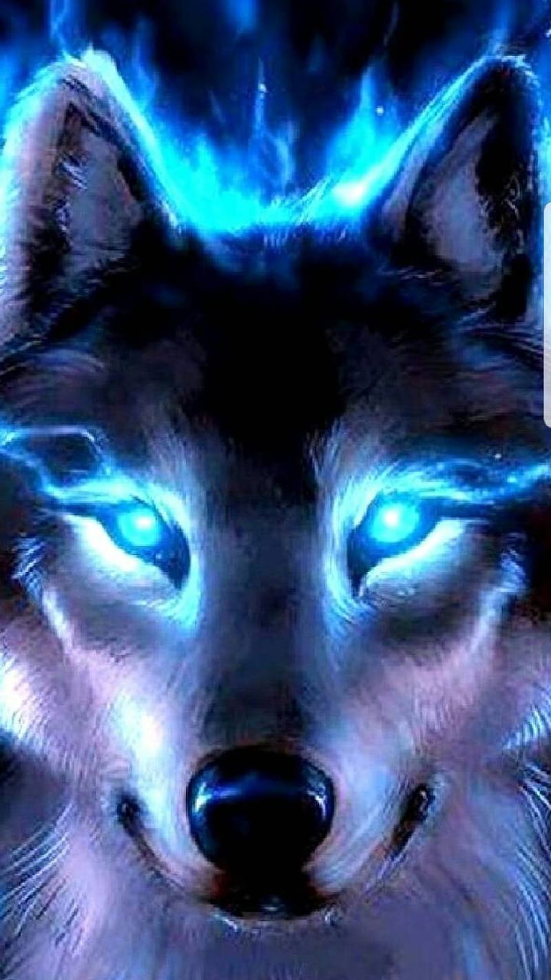 Wolves, wolf, HD phone wallpaper