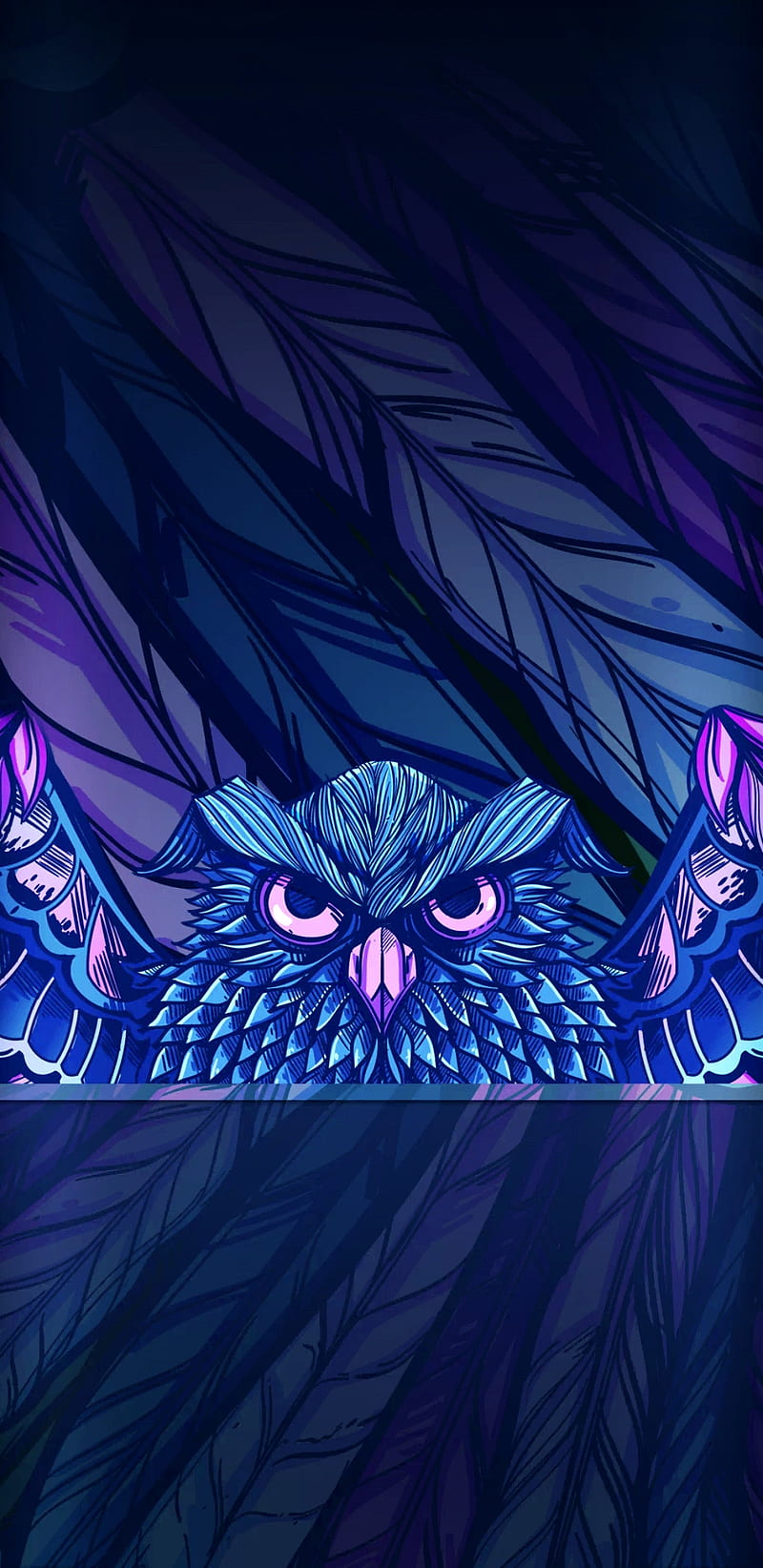 Mysterious Owl, bright, colors, mystery, colourful, purple, blue, pink, HD phone wallpaper