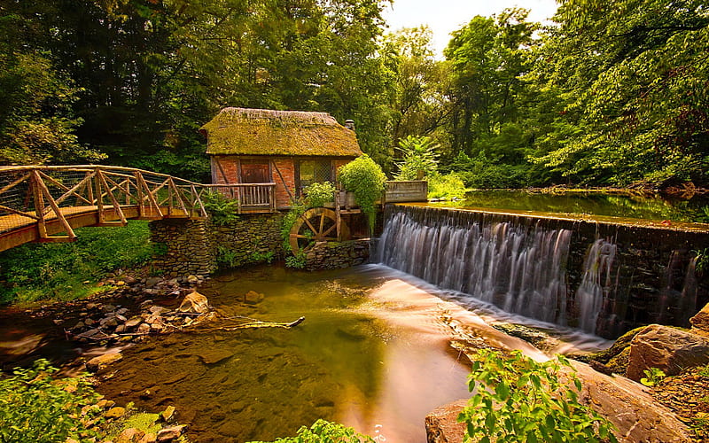 Watermill, forest, quiet, calmness, mill, place, bonito, trees, water, serenity, summer, nature, HD wallpaper