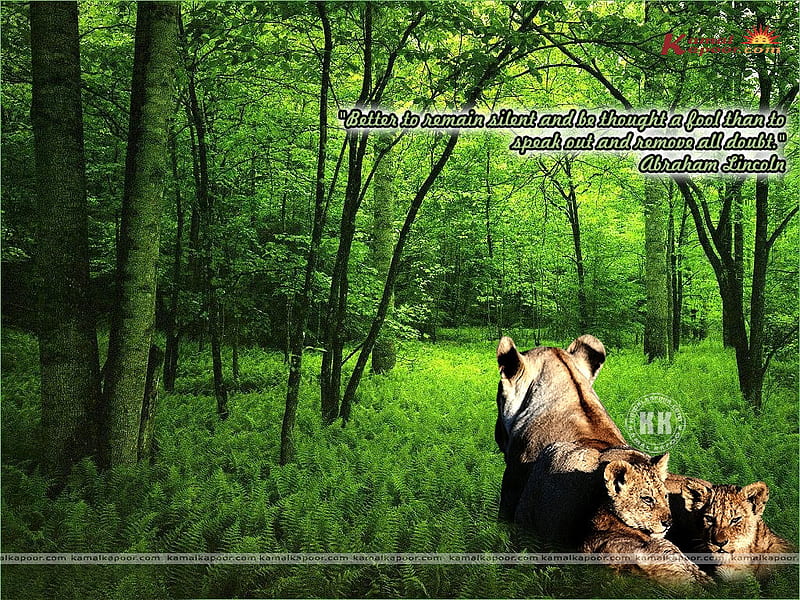 Abraham Lincoln qoute, forest, abraham lincoln, quote, silence, wildlife, lion, HD wallpaper
