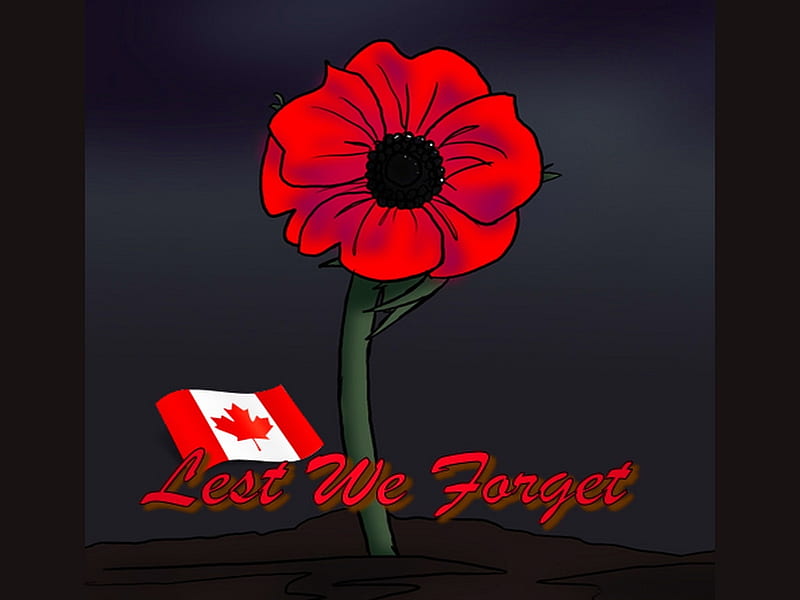 Remembrance day Canada, poppy, flag, canada, remembrance day, HD wallpaper