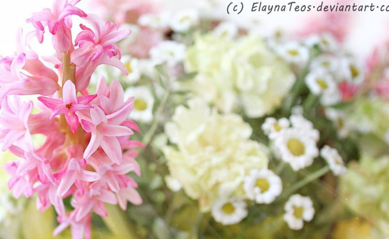 Spring Mood, hyacinth, flowers, spring, pink, mood, HD wallpaper