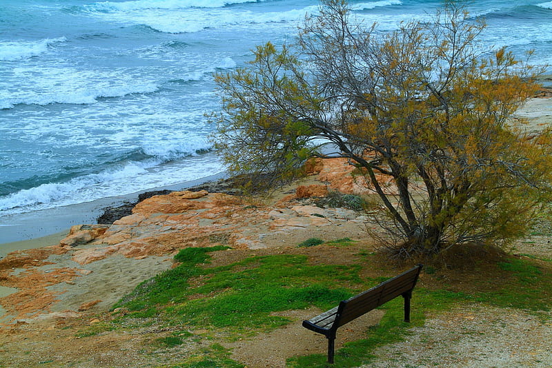 The View, view, grass, ocean, bench, waves, sea, beach, tree, sand, nature, HD wallpaper