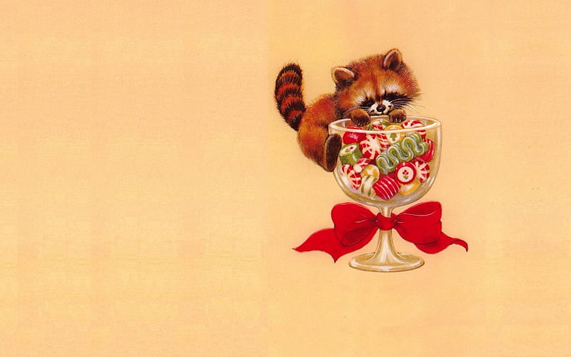 Marry Christmas!, red, craciun, sweets, christmas, bow, animal, cute, red panda, child, HD wallpaper