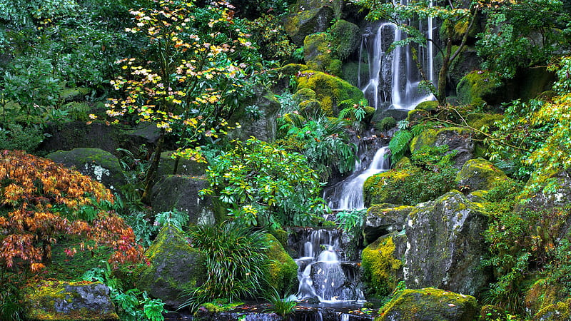 Beautiful Waterfall Scenery Algae Covered Rocks Green Trees Bushes Plants Nature, HD wallpaper
