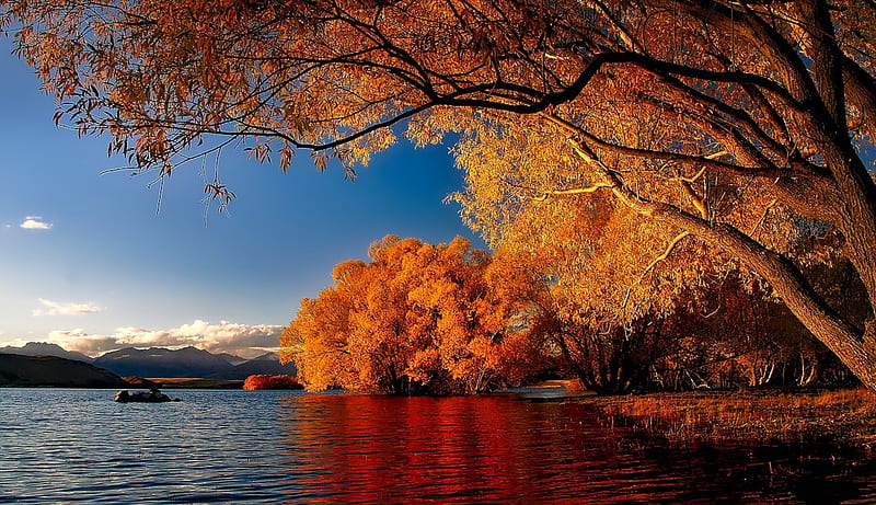 Lake Tekapo,New Zealand, forest, fall, autumn, trees, lake, mountains, nature, reflection, landscape, HD wallpaper
