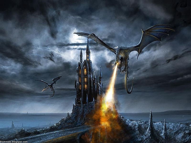 Fantasy, Fire, Dragon, Wyvern, HD wallpaper