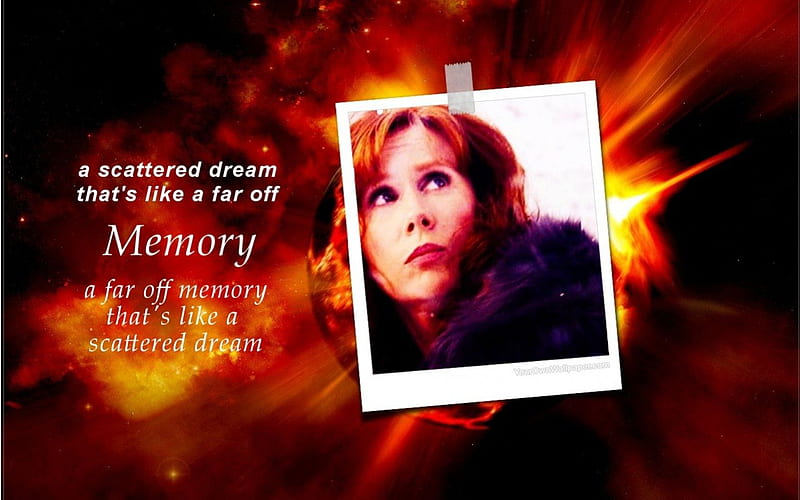 In memory of Donna Noble, doctor who, donna doctor, donna noble, best companion ever, HD wallpaper