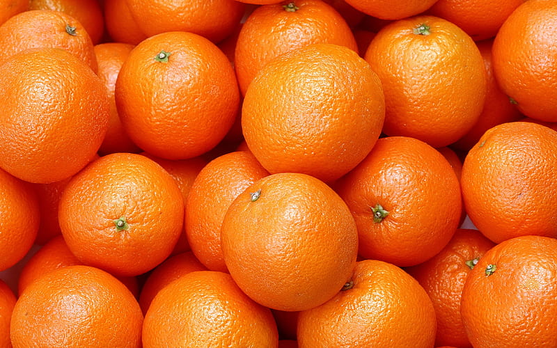 oranges, citrus fruits, background with oranges, oranges texture, orange background, fruits, HD wallpaper