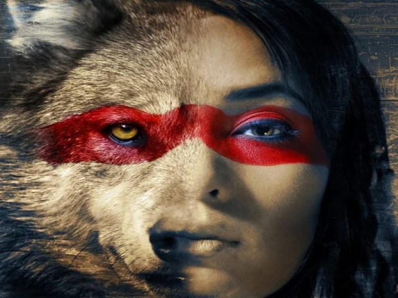 Native American Wolf, Abstract, Native American, Woman, Flag, Art, Wolf, Indian, HD wallpaper
