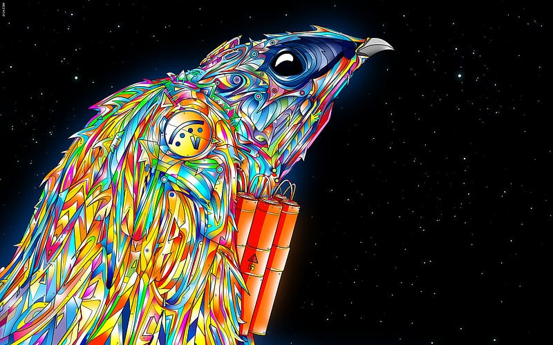 Stars, Bird, Illustration, Colors, Space, Artistic, Psychedelic, Bomb, HD wallpaper