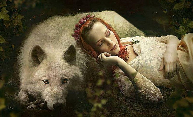 Good night darksong, white, wolve, sexy, dog, HD wallpaper | Peakpx