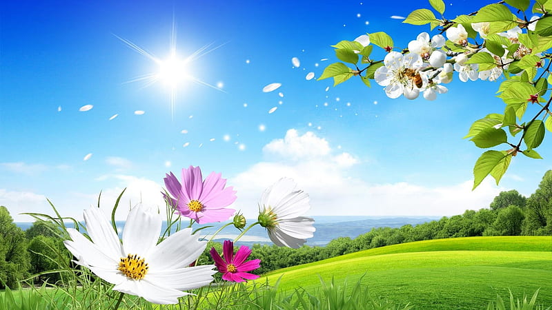 Spring in the Air, sun, green, air, flowers, nature, spring, sky, landscape, HD wallpaper