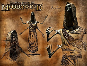 Morrowind  Balmora City Center HD Wallpaper  GamePhD