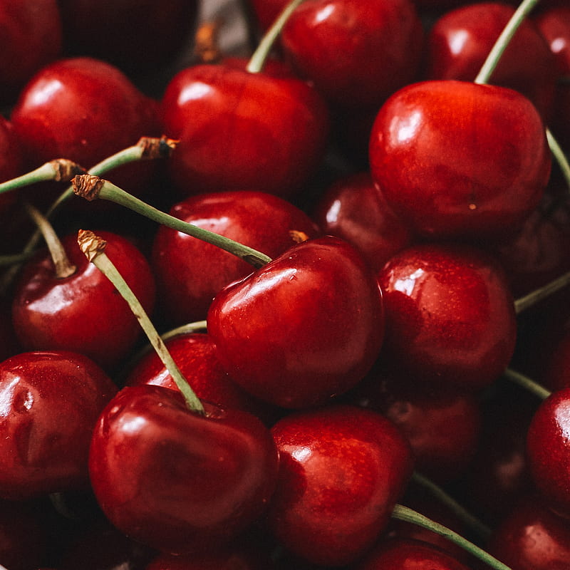 cherry, berry, fruit, red, macro, HD phone wallpaper