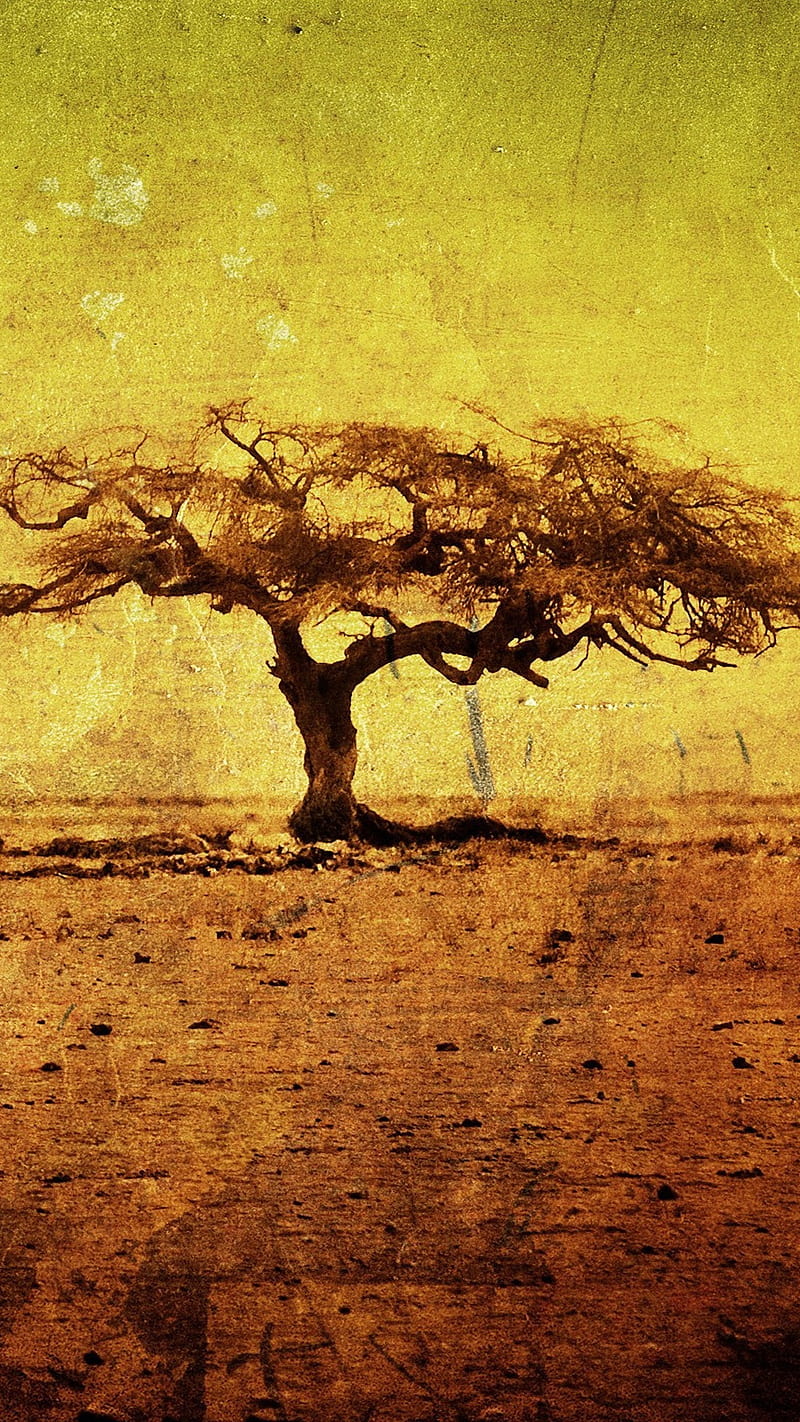 Trees Panting , yellow, art, HD phone wallpaper