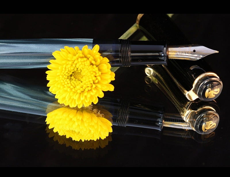 FOUNTAIN PEN AND DAISY, daisies, pens, flowers, writing implements, stationery, reflections, HD wallpaper