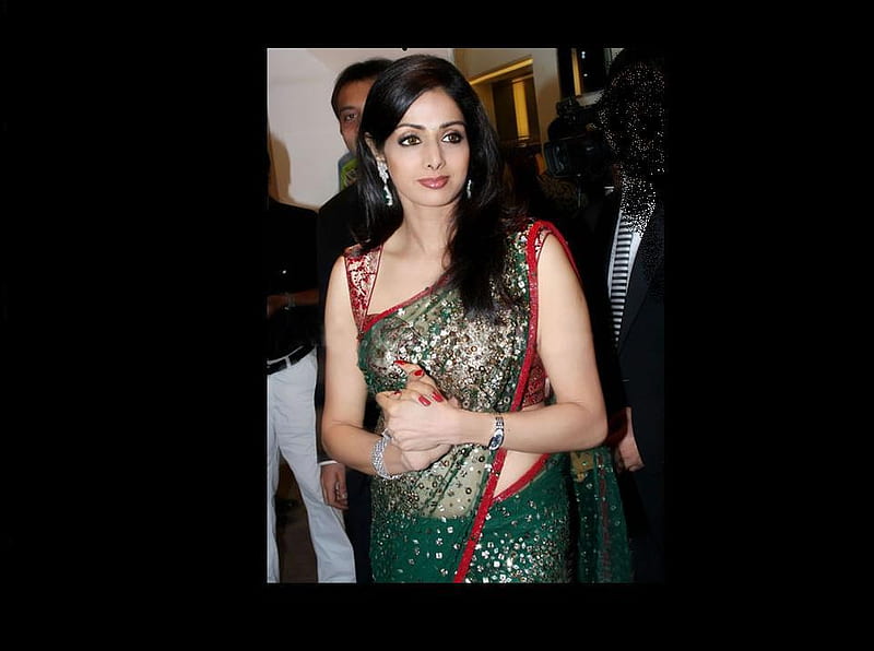 Sri Devi, south india, model, tamil actress, queen, slim, sridevi, actress,  beauty, HD wallpaper | Peakpx