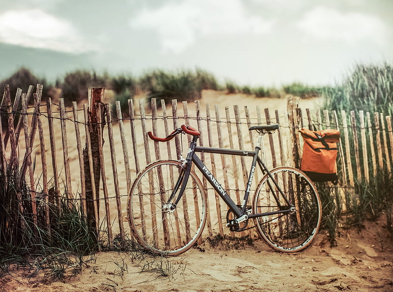 Good Old Days Ultra, Vintage, beach, Nature, Fence, Bicycle, Retro, bike, HD wallpaper