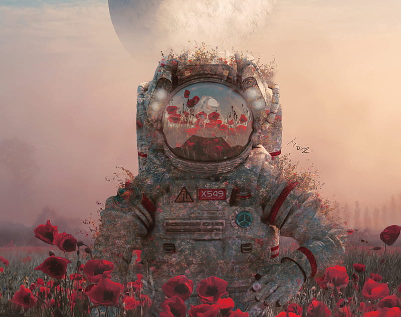 Sci Fi, Astronaut, Flower, Poppy, Red Flower, Space Suit, HD wallpaper
