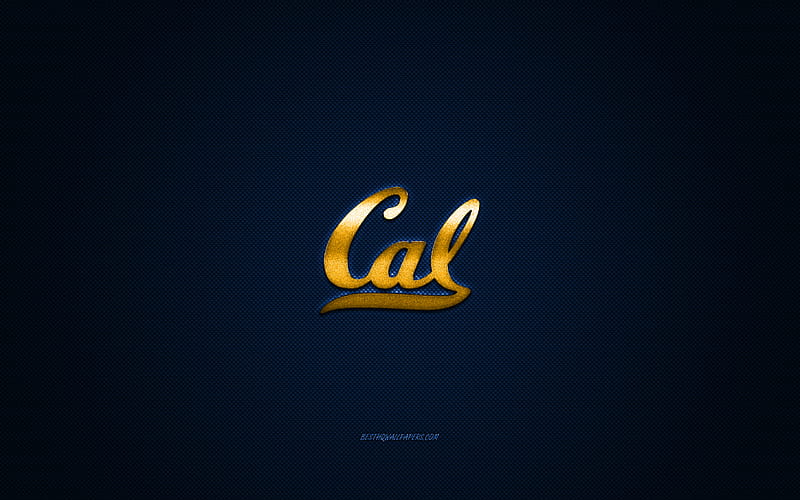 California Golden Bears logo, American football club, NCAA, golden logo, blue carbon fiber background, American football, Berkeley, USA, California Golden Bears, University of California, HD wallpaper