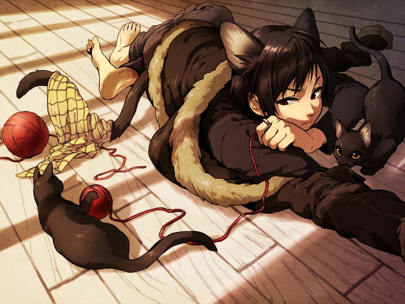 Nekos, boy, anime, manga, ball of yarn, cats, HD wallpaper