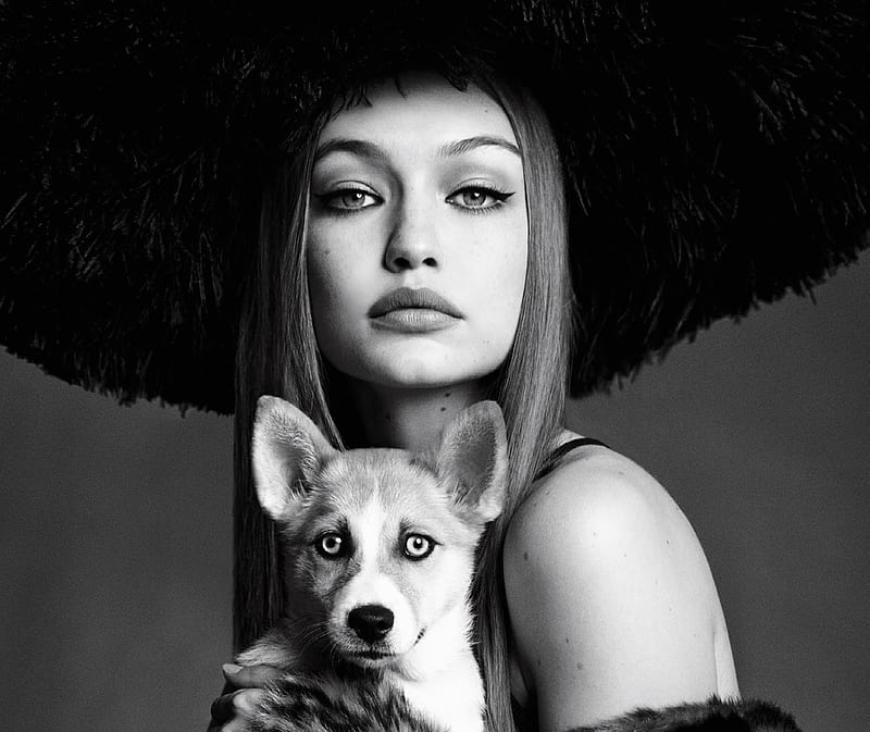 Gigi Hadid, model, caine, black, woman, animal, hat, girl, bw, face, white, dog, puppy, HD wallpaper