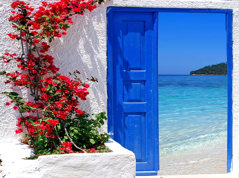 OPEN DOOR to SUMMER, beach, plant, summer, flowers, sea, HD wallpaper