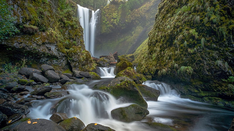 Falls Creek, Gifford Pinchot National Forest, Washington, rocks, river, waterfall, cascades, trees, usa, HD wallpaper