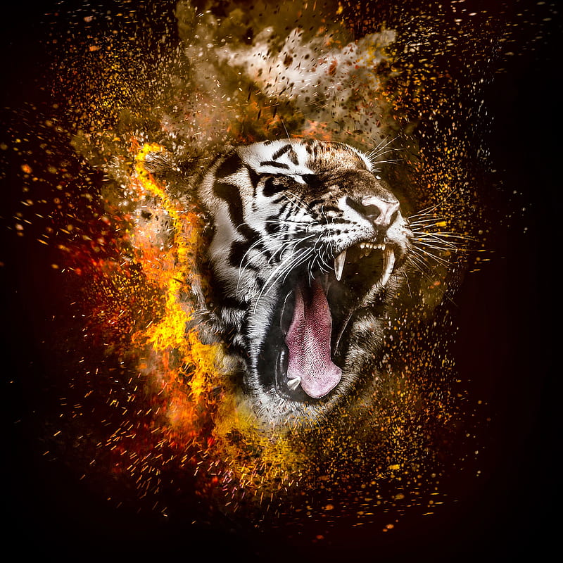 Tiger roar, tiger, sparkle, HD phone wallpaper
