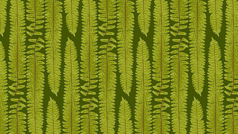 Texture, pattern, fern, green, paper, jette55, leaf, HD wallpaper
