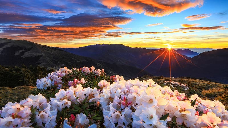 Taroko National Park, Taiwan, sunset, blossoms, landscape, clouds, colors, sky, mountains, HD wallpaper
