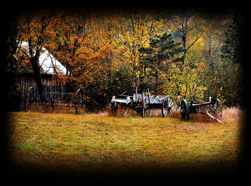 Back In Time, fall, new york, colors, stony creek, hay rake, wagons, HD wallpaper