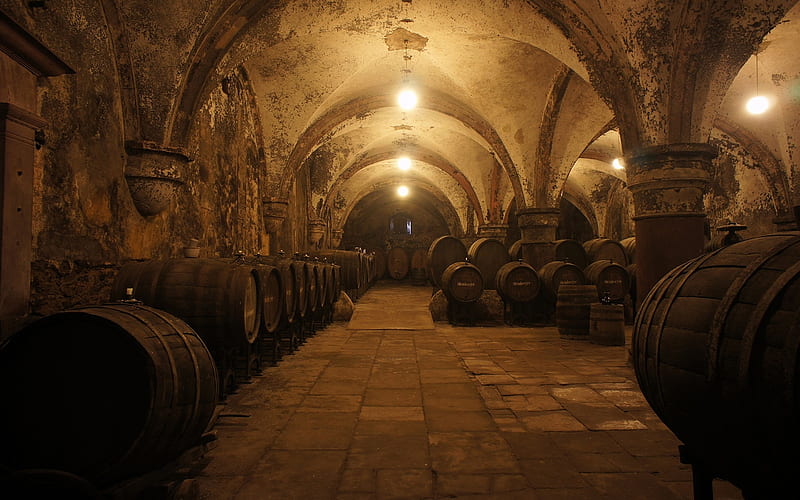 Wine Cellar, architecture, floor, wine, underground, barrels, cellar, lights, building, alcohol, HD wallpaper