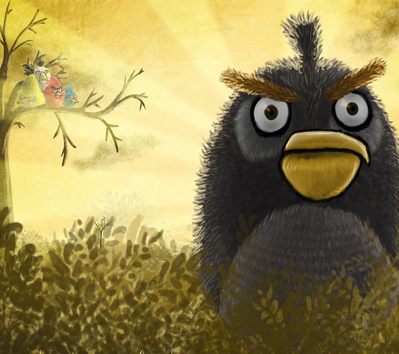 Angry Birds, animal, bird, cartoon, cool, cute, game, new, HD wallpaper |  Peakpx