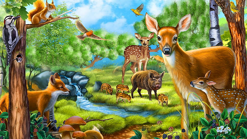 Forest Creatures, Firefox theme, forest, fawn, squirrel, grass, woods, birds, creek, trees, deer, pigs, doe, fox, wild, field, HD wallpaper