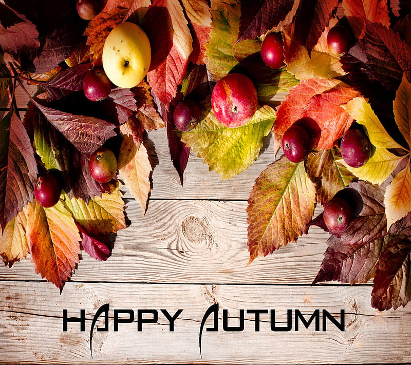 Happy Autumn, HD wallpaper | Peakpx