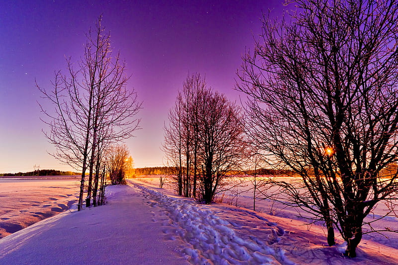 Country Road in Winter, snow, sunlight, morning, sunset, trees, landscape, HD wallpaper