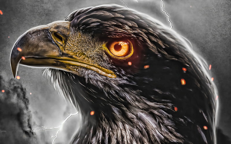 eagle lightings, fire, eagle look, orange eyes, creative, artwork, HD wallpaper