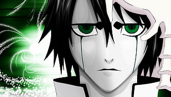 Ulquiorra Cifer, anime, splitting, Bleach, Kurosaki Ichigo, Espada -  wallpaper #63018 (2429x1326px) on