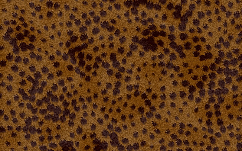 cheetah skin texture, close-up, cheetah texture, brown blots texture, macro, cheetah skin, cheetah background, cheetah wool, cheetah leather background, skin textures, HD wallpaper