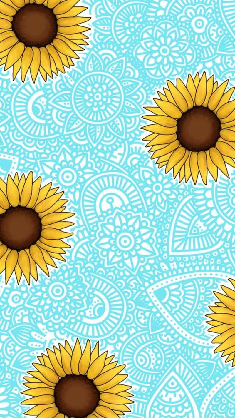Sunflower , blue, fall, summer, sun, HD mobile wallpaper