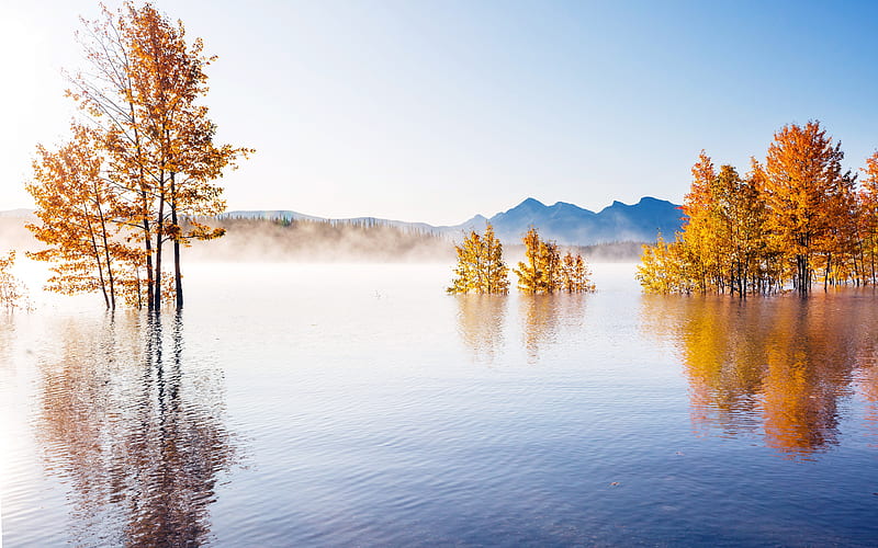 Beautiful lake in autumn 2021 Landscape, HD wallpaper